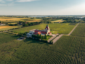 Gastro Postcard: A Taste of Serbia, One Journey at a Time